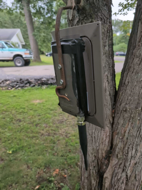 PXL_20260729_225815071_exported_stabilized_1785366059407.gif